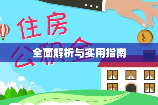 爱辉全面解析与实用指南