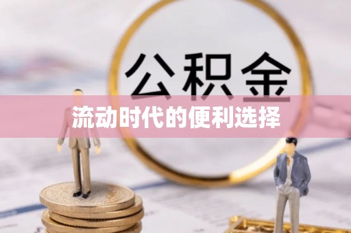 爱辉流动时代的便利选择