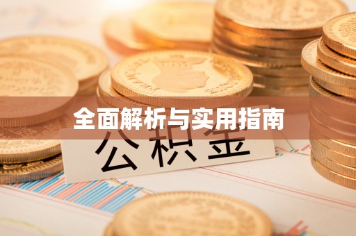 爱辉全面解析与实用指南