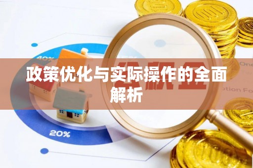 爱辉政策优化与实际操作的全面解析