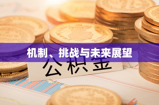 爱辉机制、挑战与未来展望